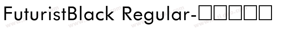FuturistBlack Regular字体转换